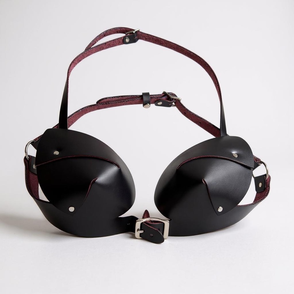Dana Bayne Cat Eye Bra in Oxblood